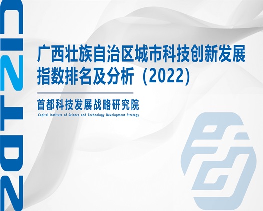 大鸡巴操小嫩屄视频【成果发布】广西壮族自治区城市科技创新发展指数排名及分析（2022）